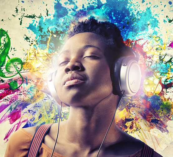 wembas dream 555x504