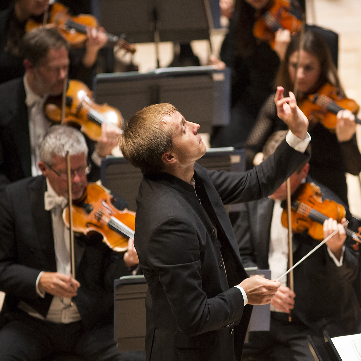 An image of the Royal Philharmonic Orchestra. Credit Ben Wright and Royal Philharmonic Orchestra