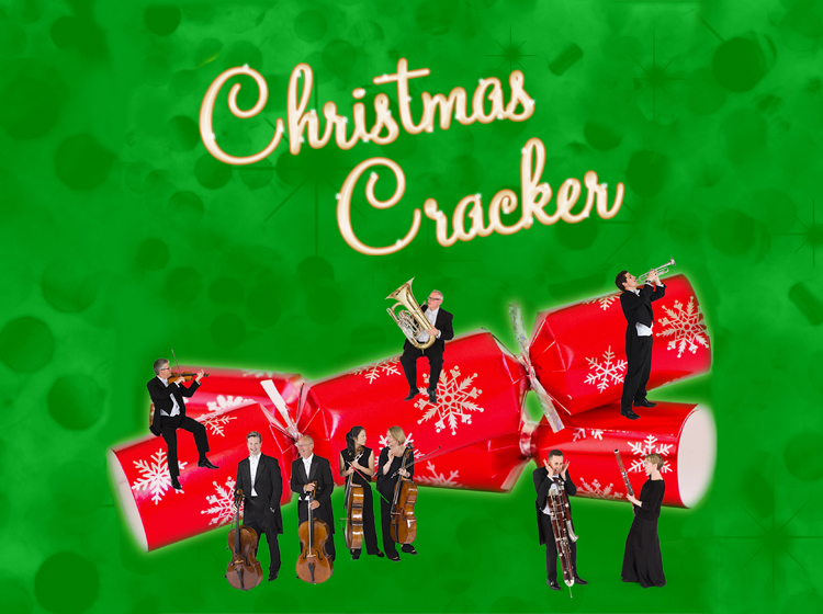 An artwork image for Christmas Cracker
