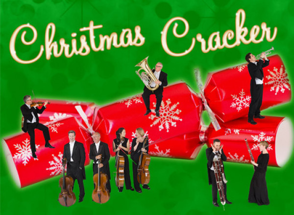 Christmas Cracker 2020 489x357 WEB.jpg
