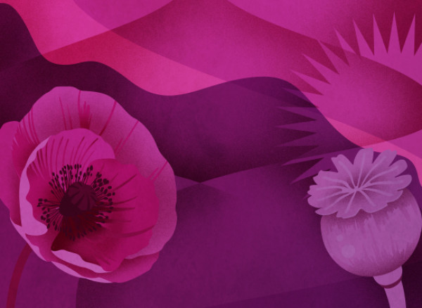 An artwork image of poppys in purple and red shades