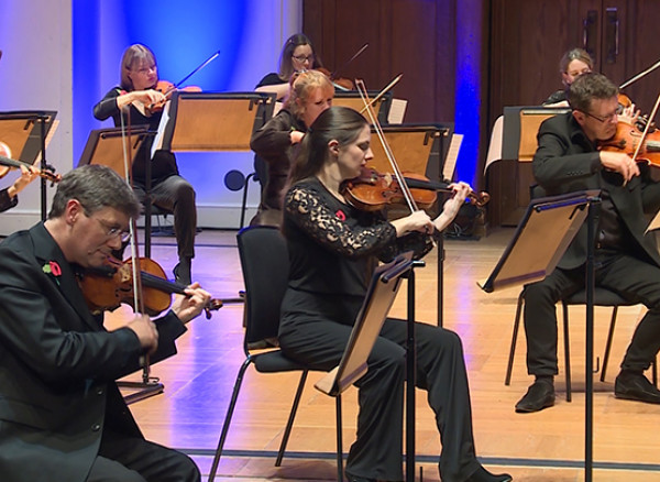 An image of the Royal Philharmonic Orchestra's string players