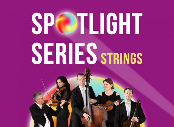 Spotlight-Series-strings-RPO555x405.jpg