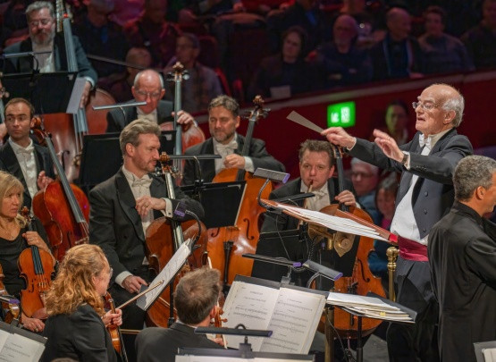 website dimensions .jpg