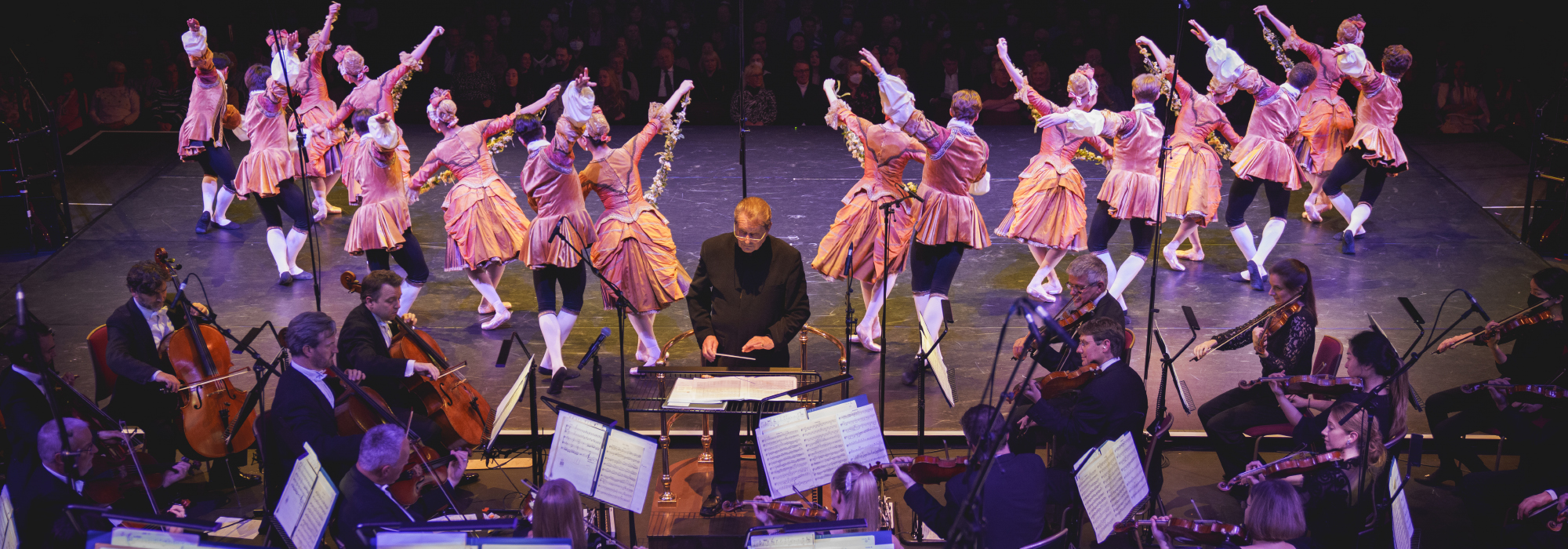 An image of a choir of young and old singers. All wearing purple t-shirts