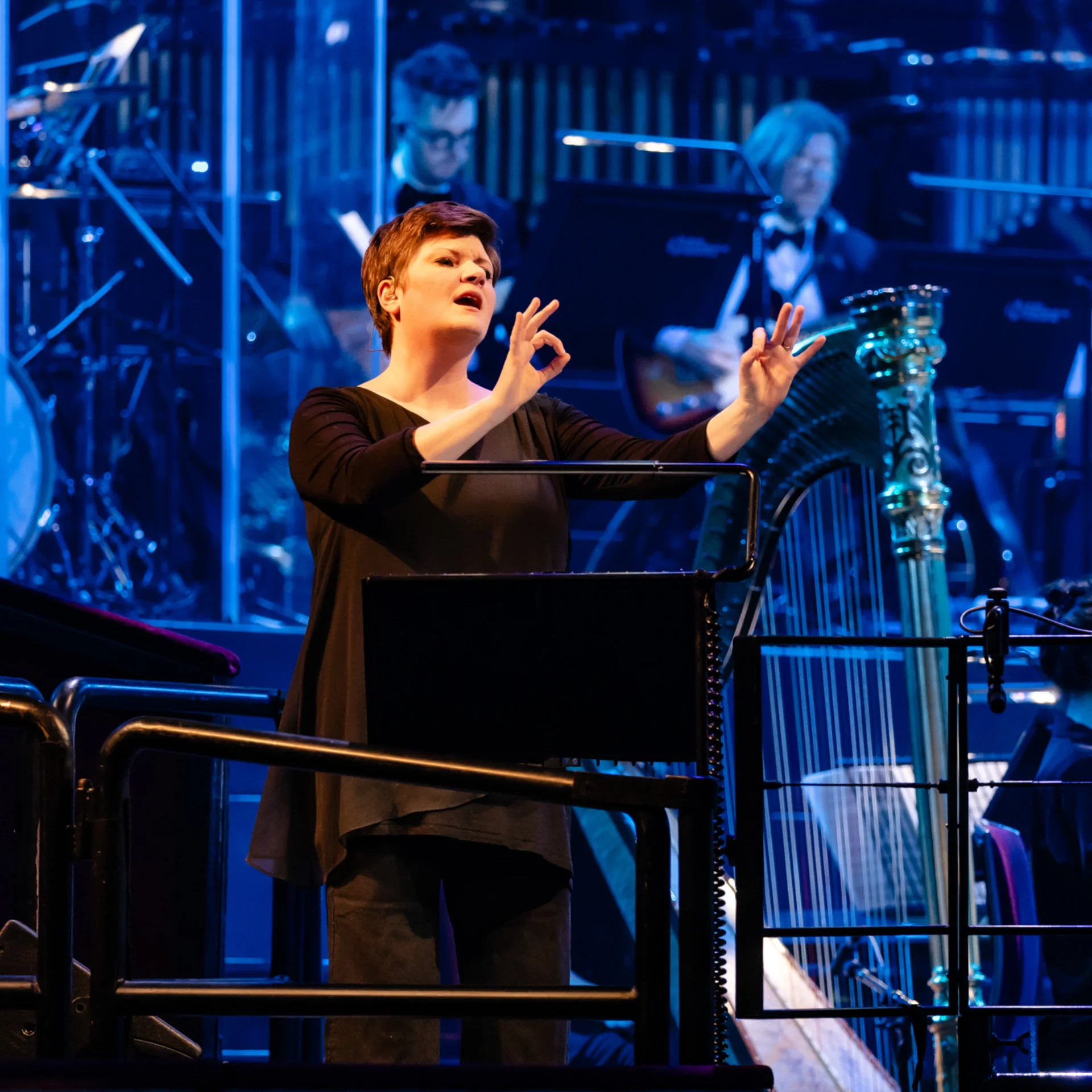 A BSL interpreter at a concert at the Royal Albert Hall