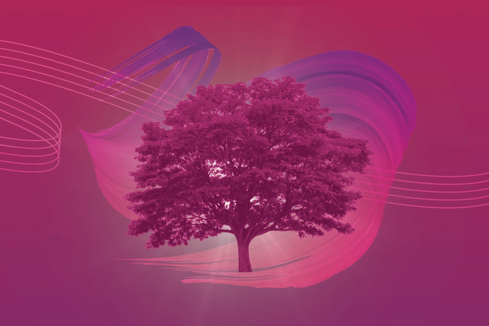 Dark pink artwork depicting the Tree of Life with a swirly musical stave behind it