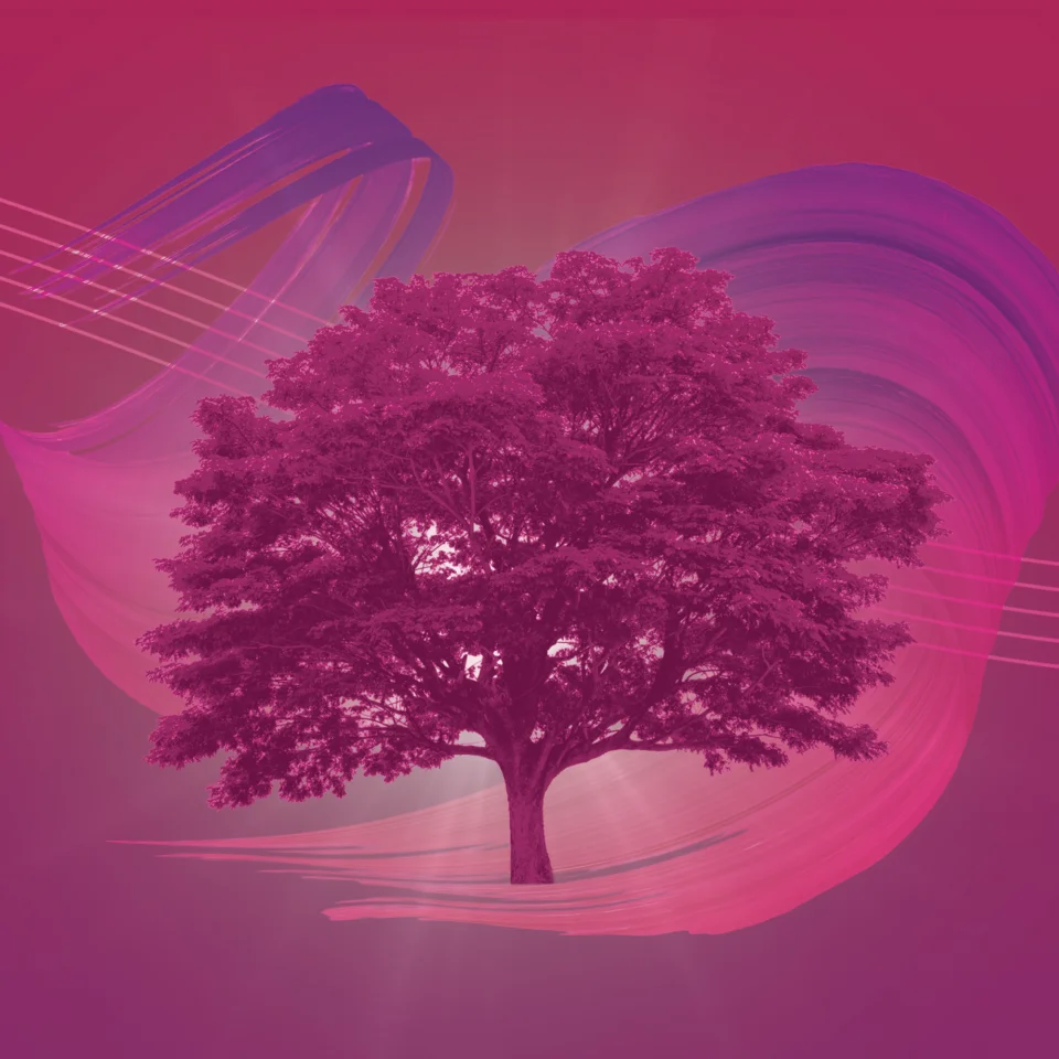 Dark pink artwork depicting the Tree of Life with a swirly musical stave behind it