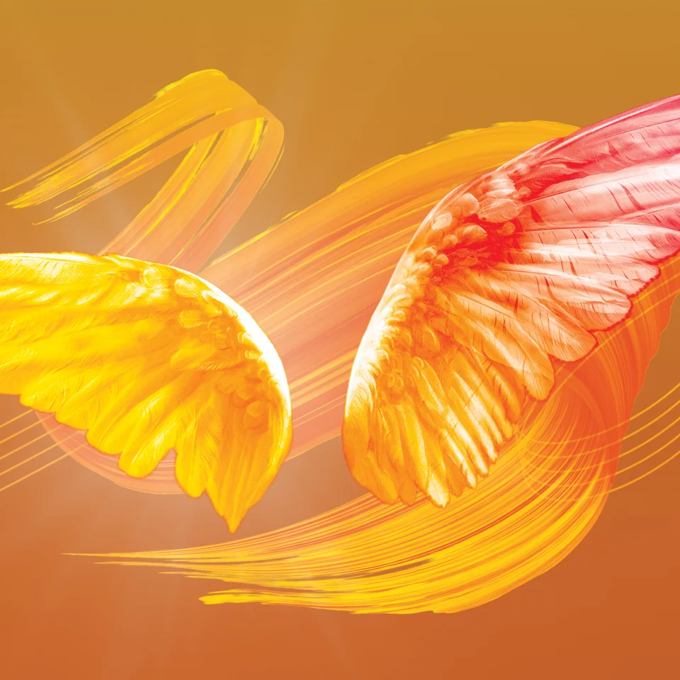 Fiery orange and yellow artwork featuring feathered wings and swirls