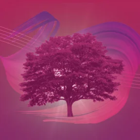 Dark pink artwork depicting the Tree of Life with a swirly musical stave behind it