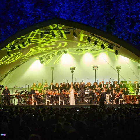 The RPCO performing on stage with a vocalist in front of the Orchestra in the evening at Battersea Park