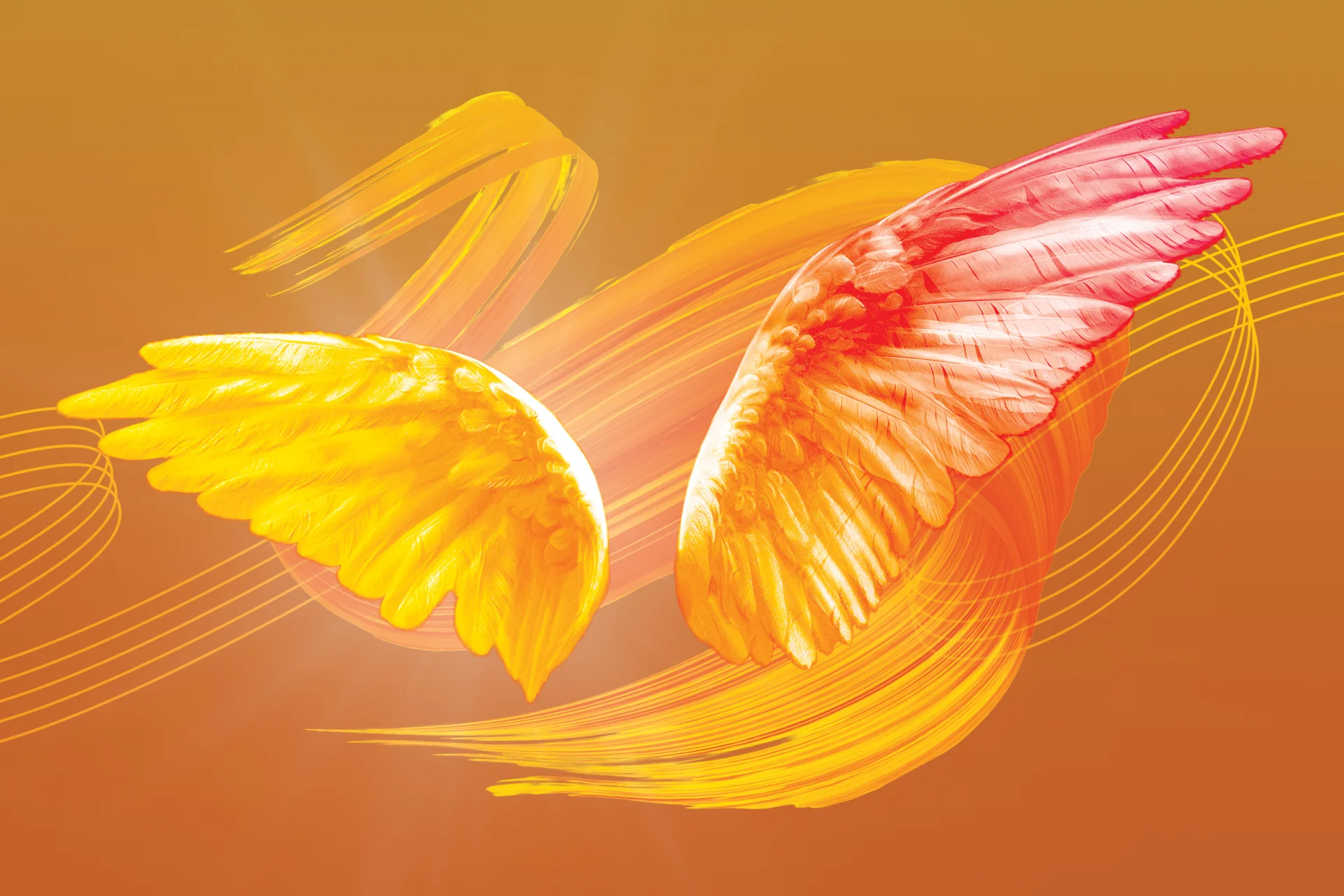 Fiery orange and yellow artwork featuring feathered wings and swirls