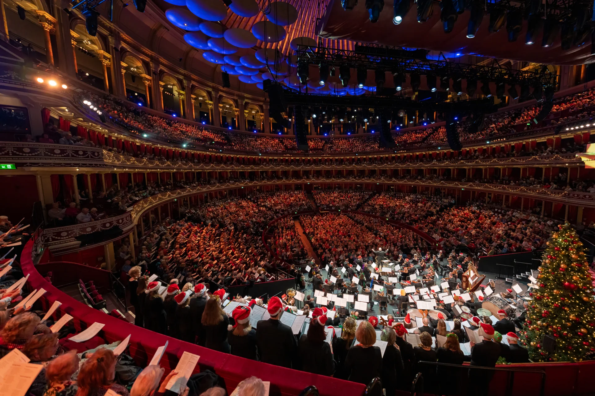 A wide shot of a Christmas concert at the Royal Albert Hall taken from behind the choir stalls. Singers are wearing Christmas hats and a Christmas tree is behind the Orchestra.