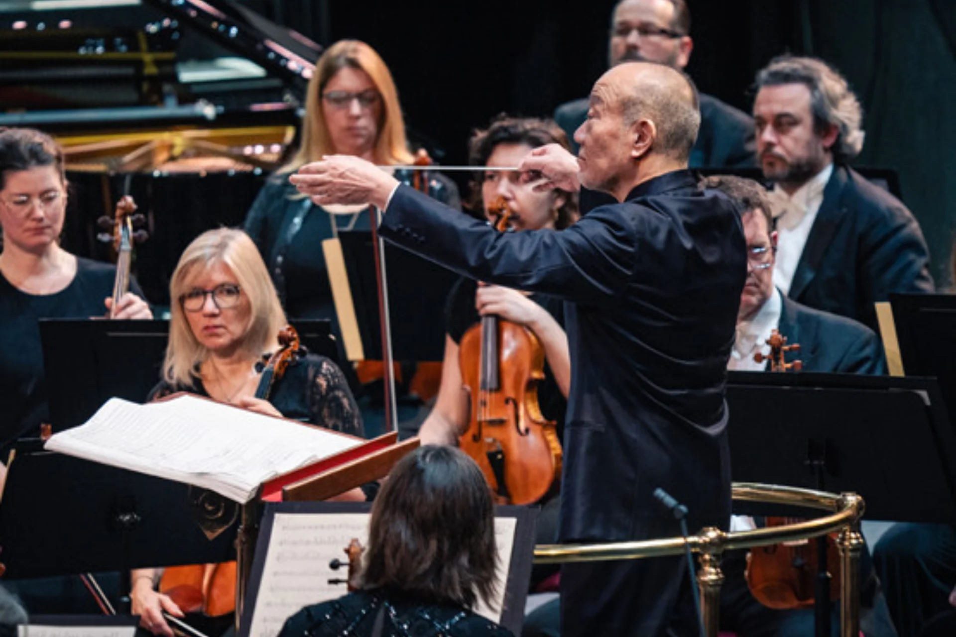 Joe hisaishi c tim lutton