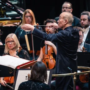 Joe hisaishi c tim lutton