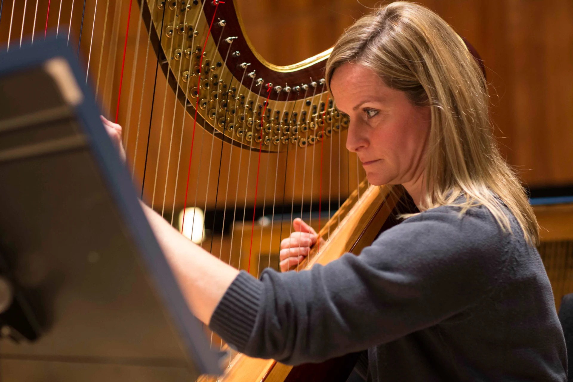 Suzy Willison-Kawalec playing harp