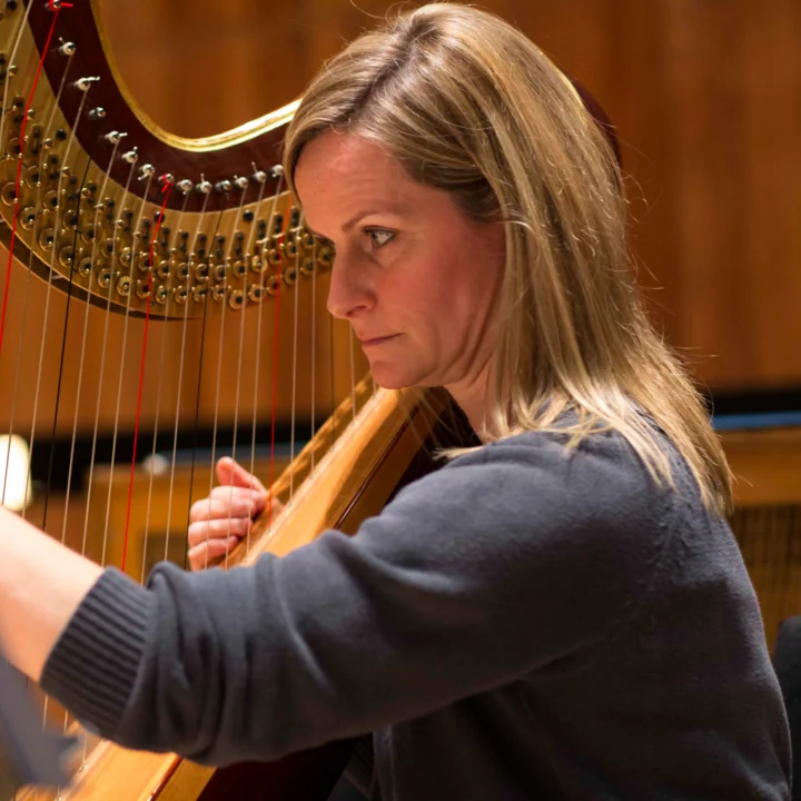 Suzy Willison-Kawalec playing harp