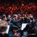 Close up of the string section of the Royal Philharmonic Orchestra onstage at the Royal Albert Hall
