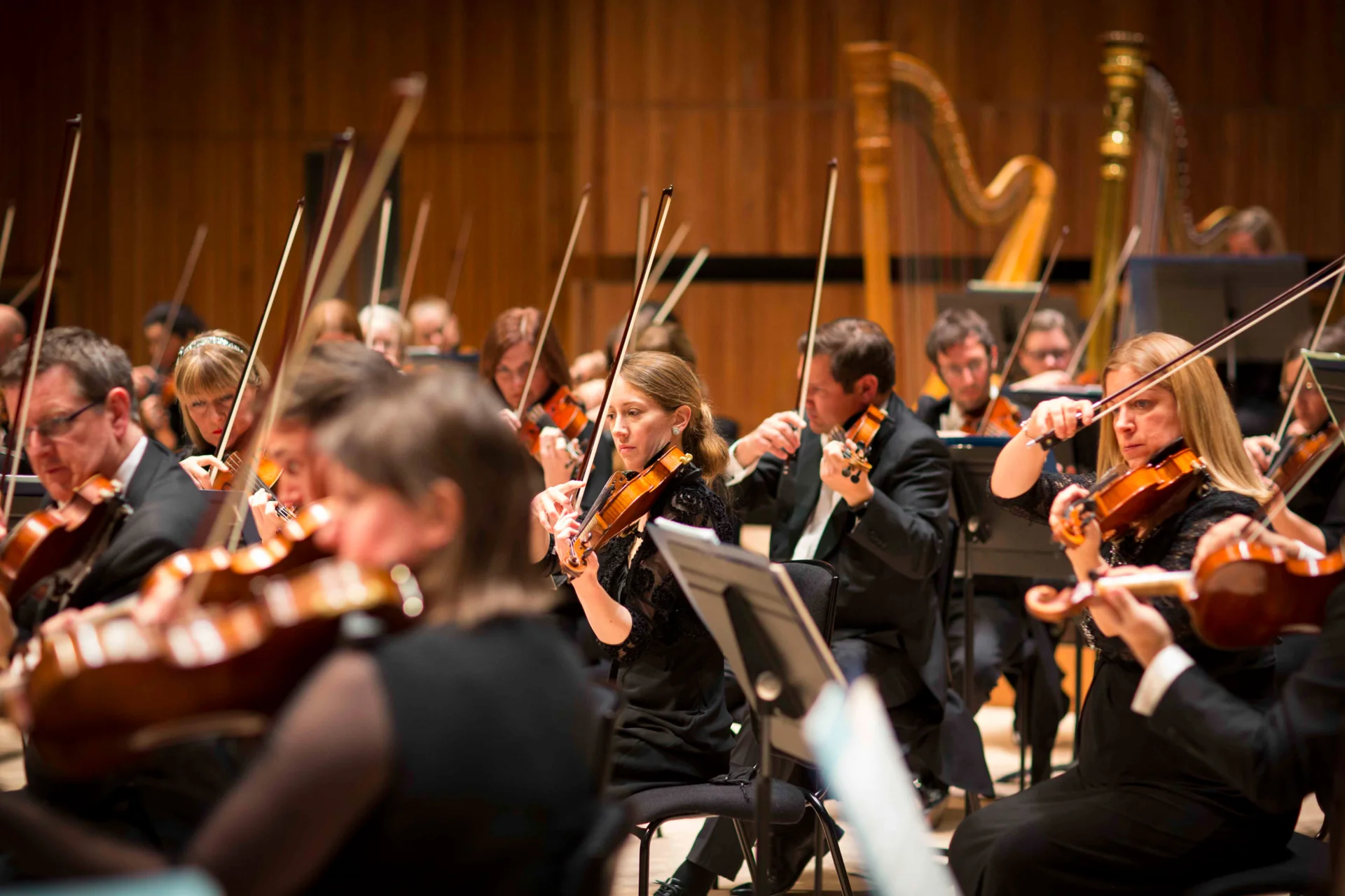 RPO string players performing on the stage of the Royal Festival Hall
