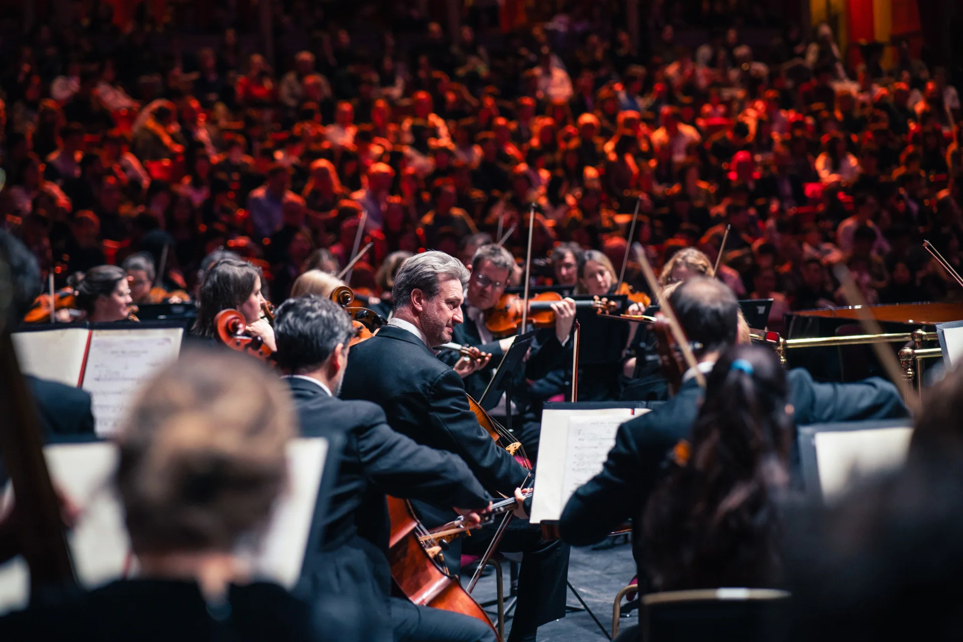 Close up of the string section of the Royal Philharmonic Orchestra onstage at the Royal Albert Hall