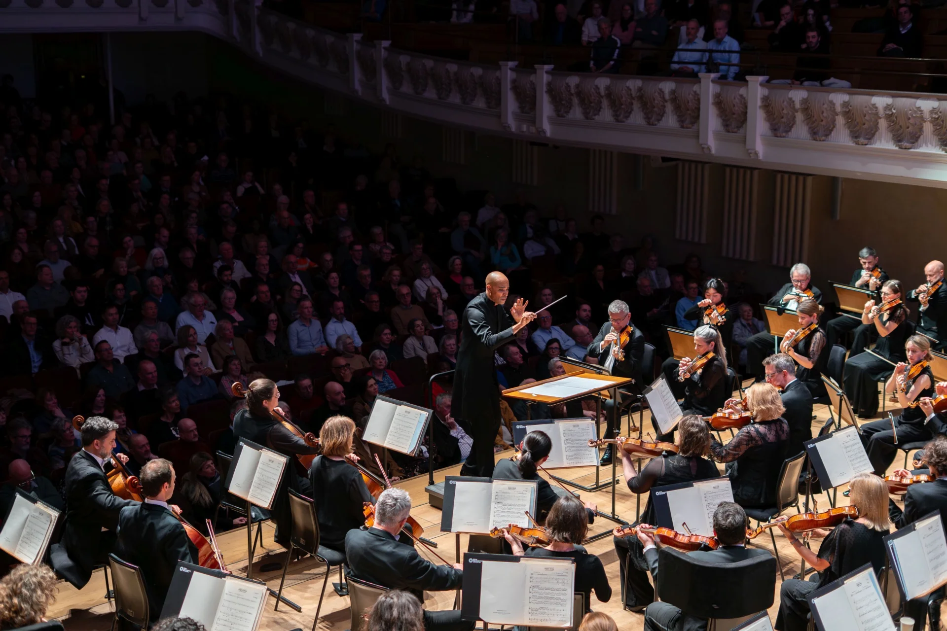 A photo taken from behind the Orchestra looking out into Cadogan Hall with conductor Kevin John Edusei shown at the front of the stage, slightly crouched with both hands in front of him, looking out at the musicians