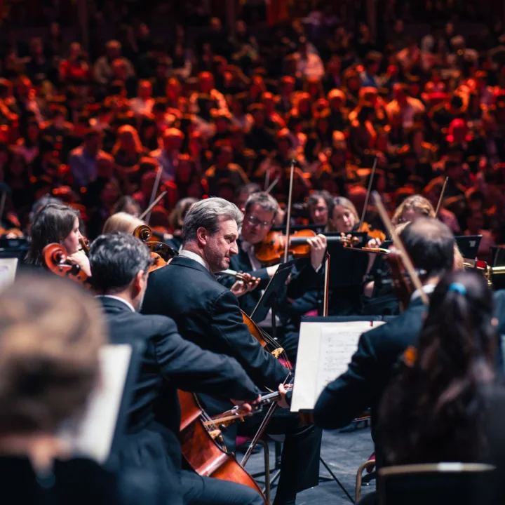 Close up of the string section of the Royal Philharmonic Orchestra onstage at the Royal Albert Hall
