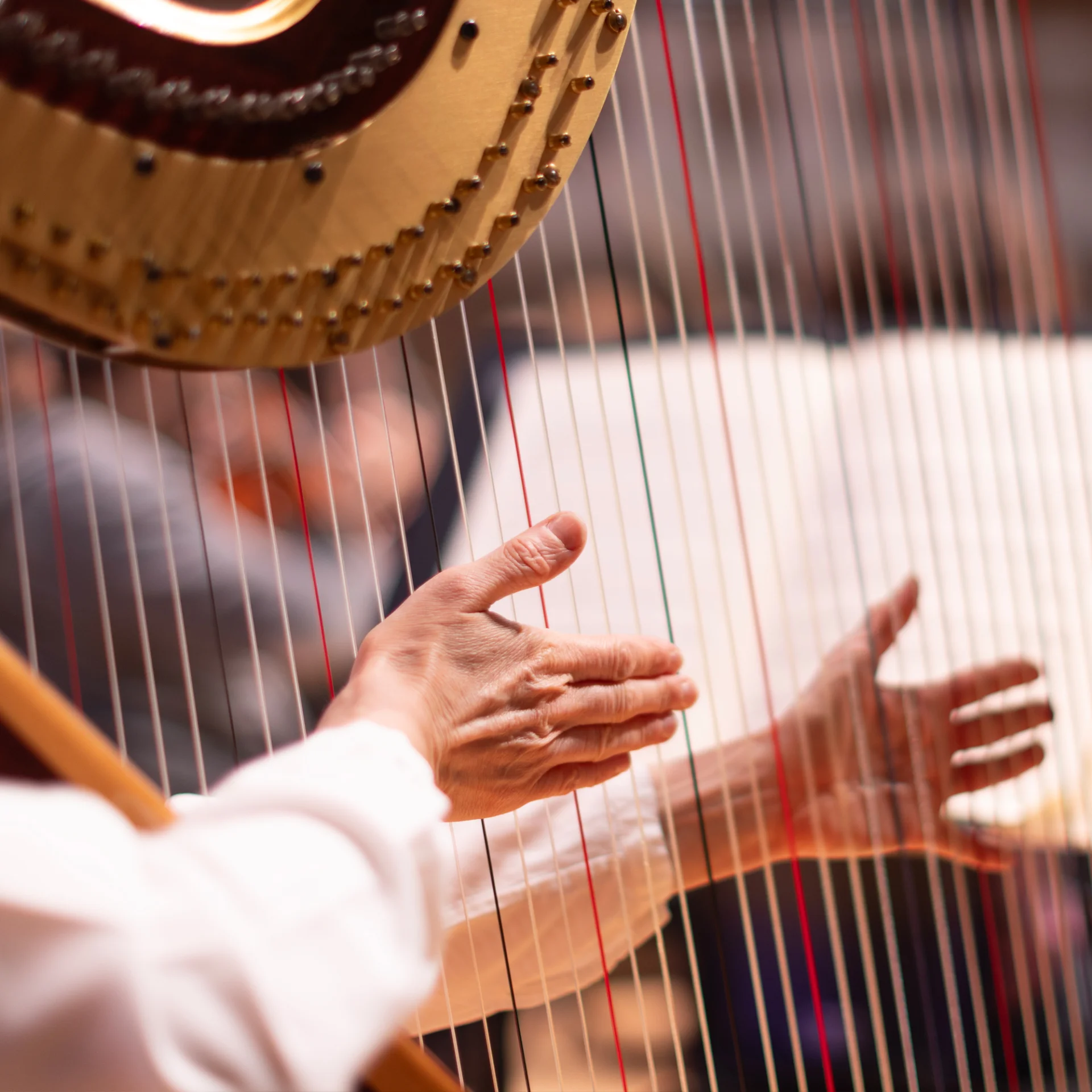 A close-up of someone playing the harp in a rehearsal at Cadogan Hall