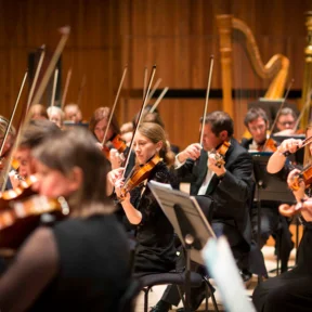 RPO string players performing on the stage of the Royal Festival Hall