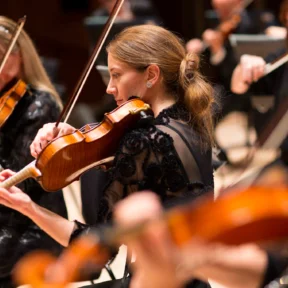 Violinists of the Royal Philharmonic Orchestra in rehearsal
