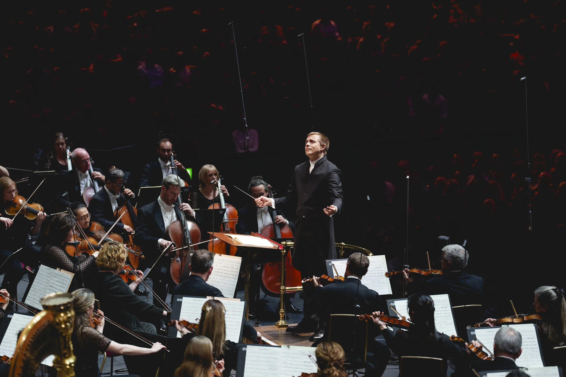 Vasily Petrenko conducting the RPO in the Royal Albert Hall