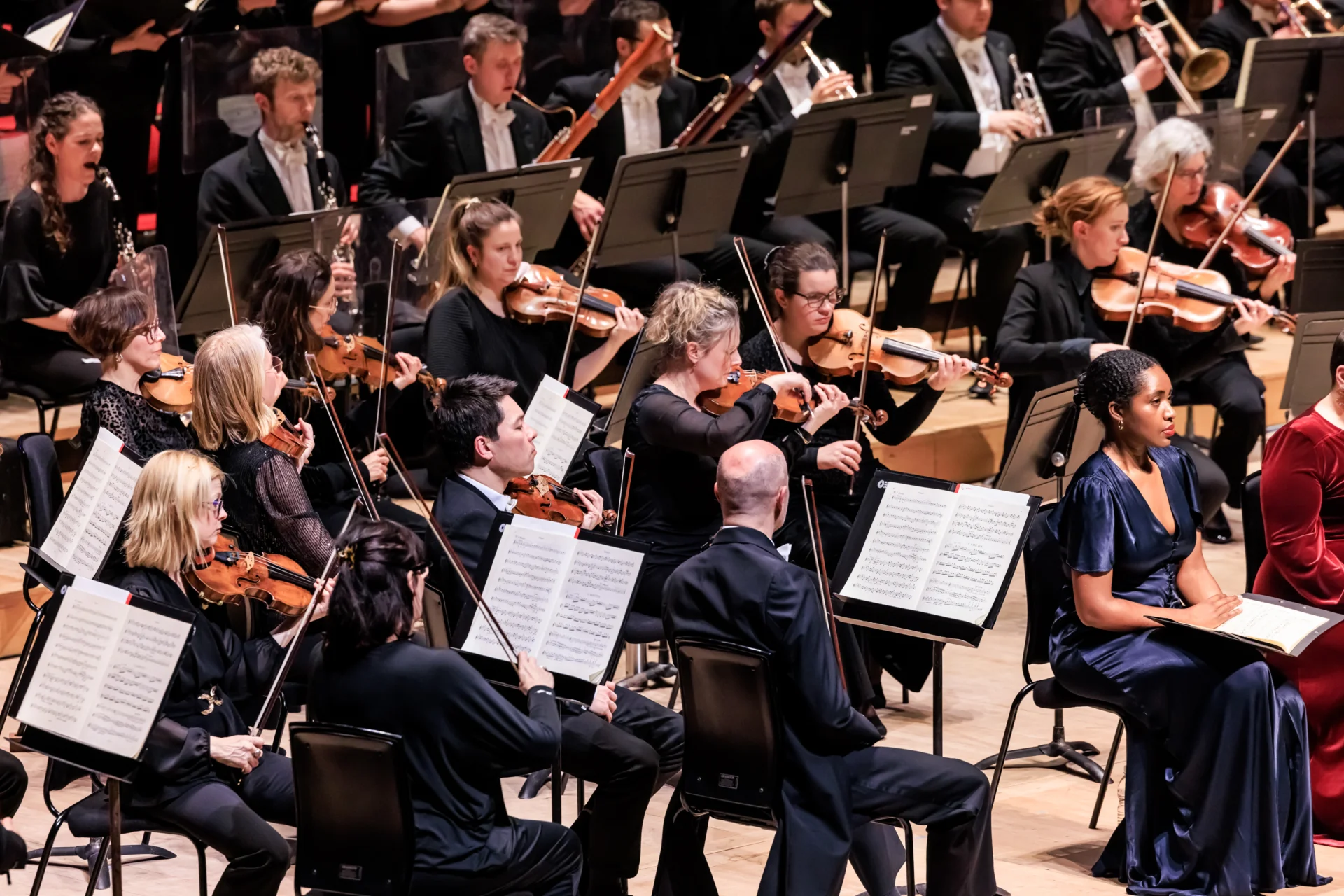 The RPCO playing on stage at the Royal Festival Hall