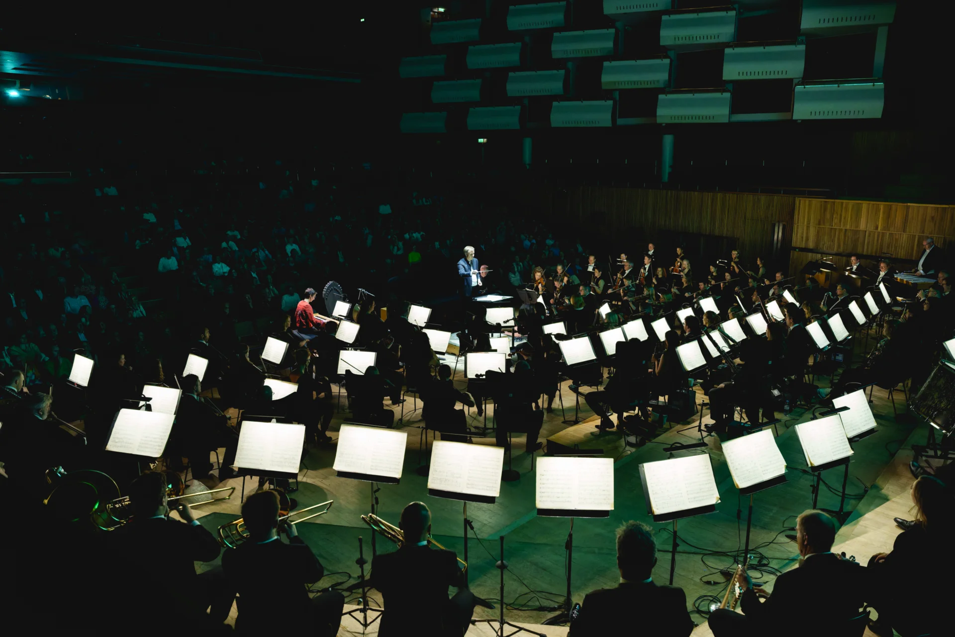 Vasily Petrenko conducting the Orchestra, viewed from behind the brass