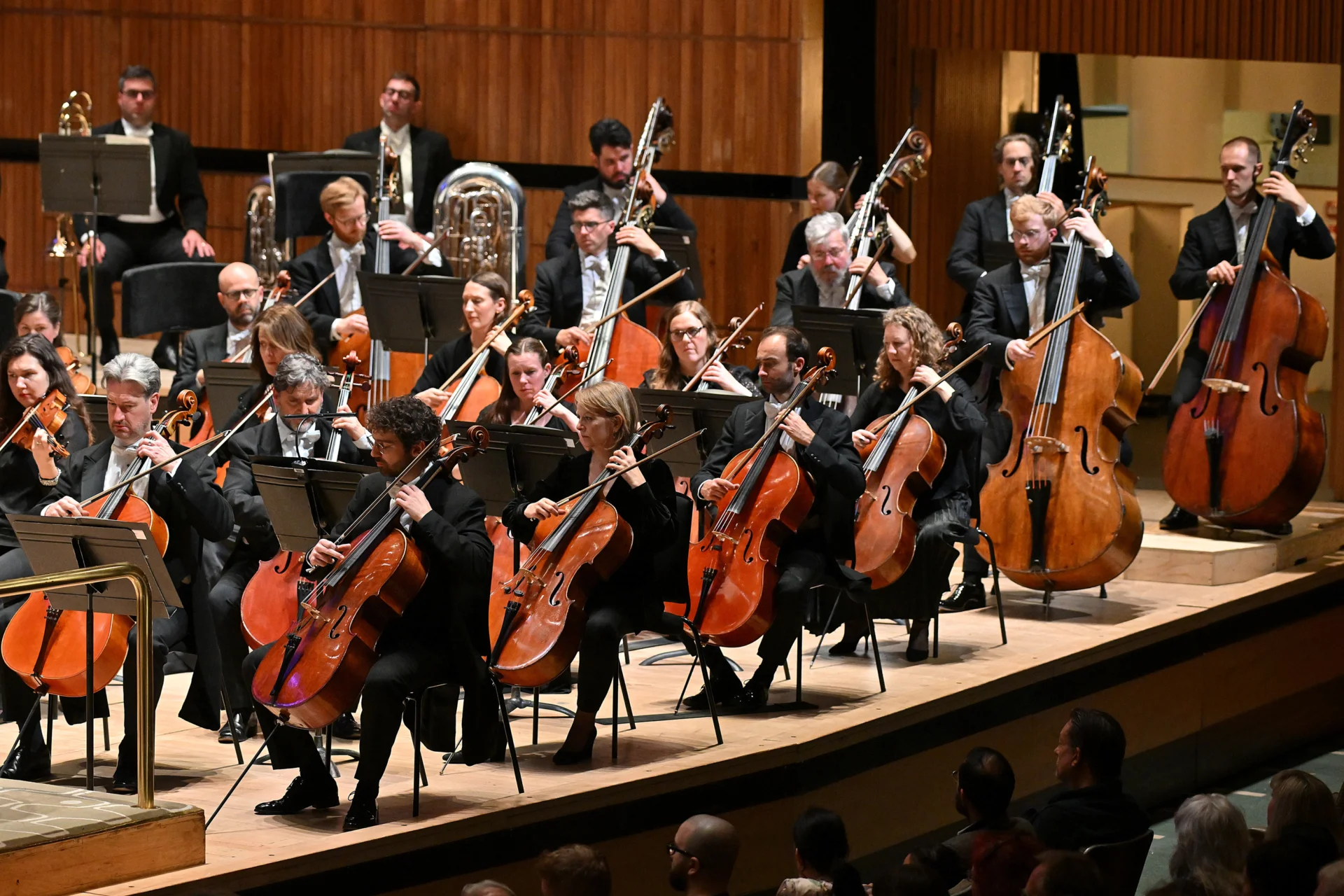 The RPO cellos and double basses