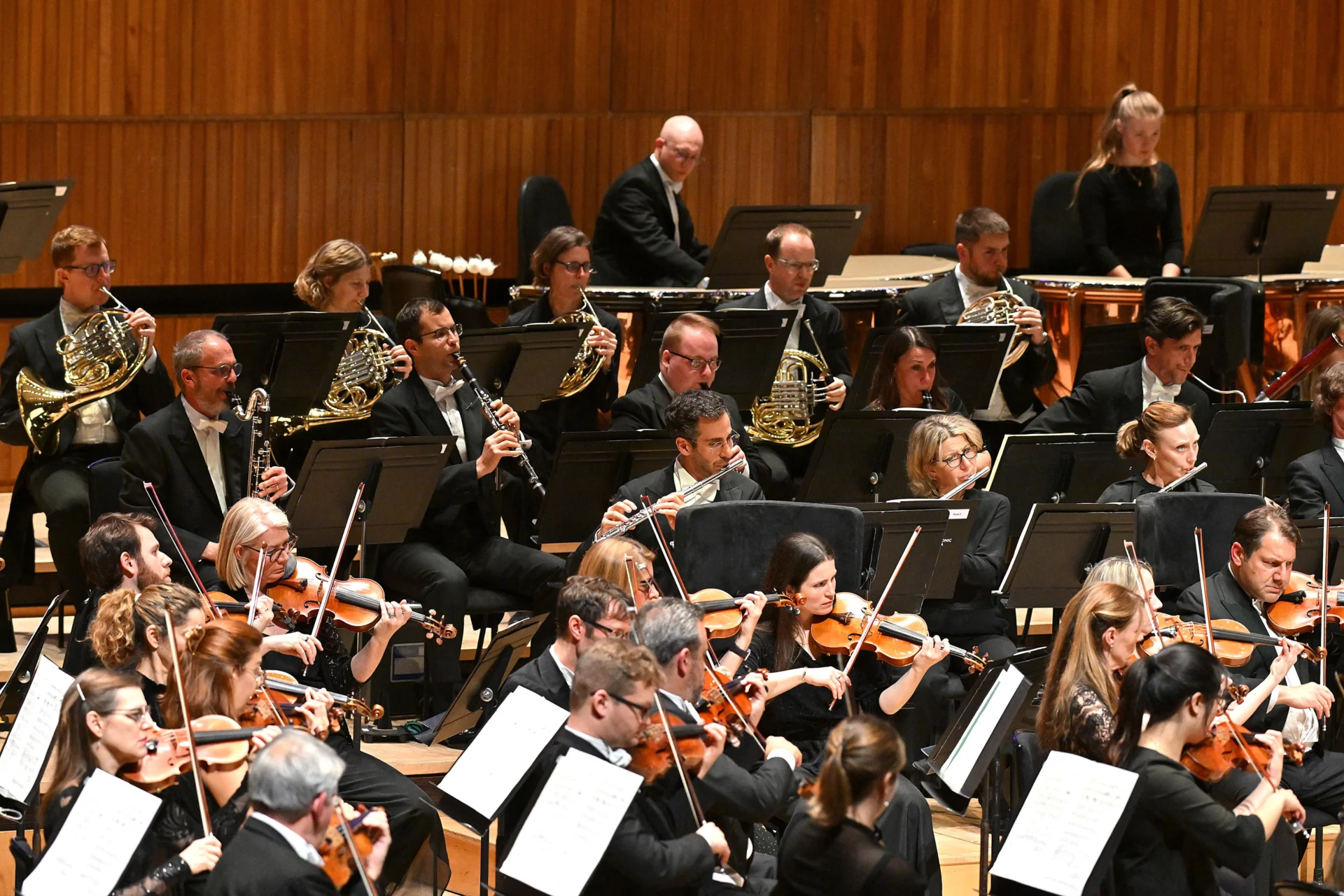 The Royal Philharmonic Orchestra strings and wind section