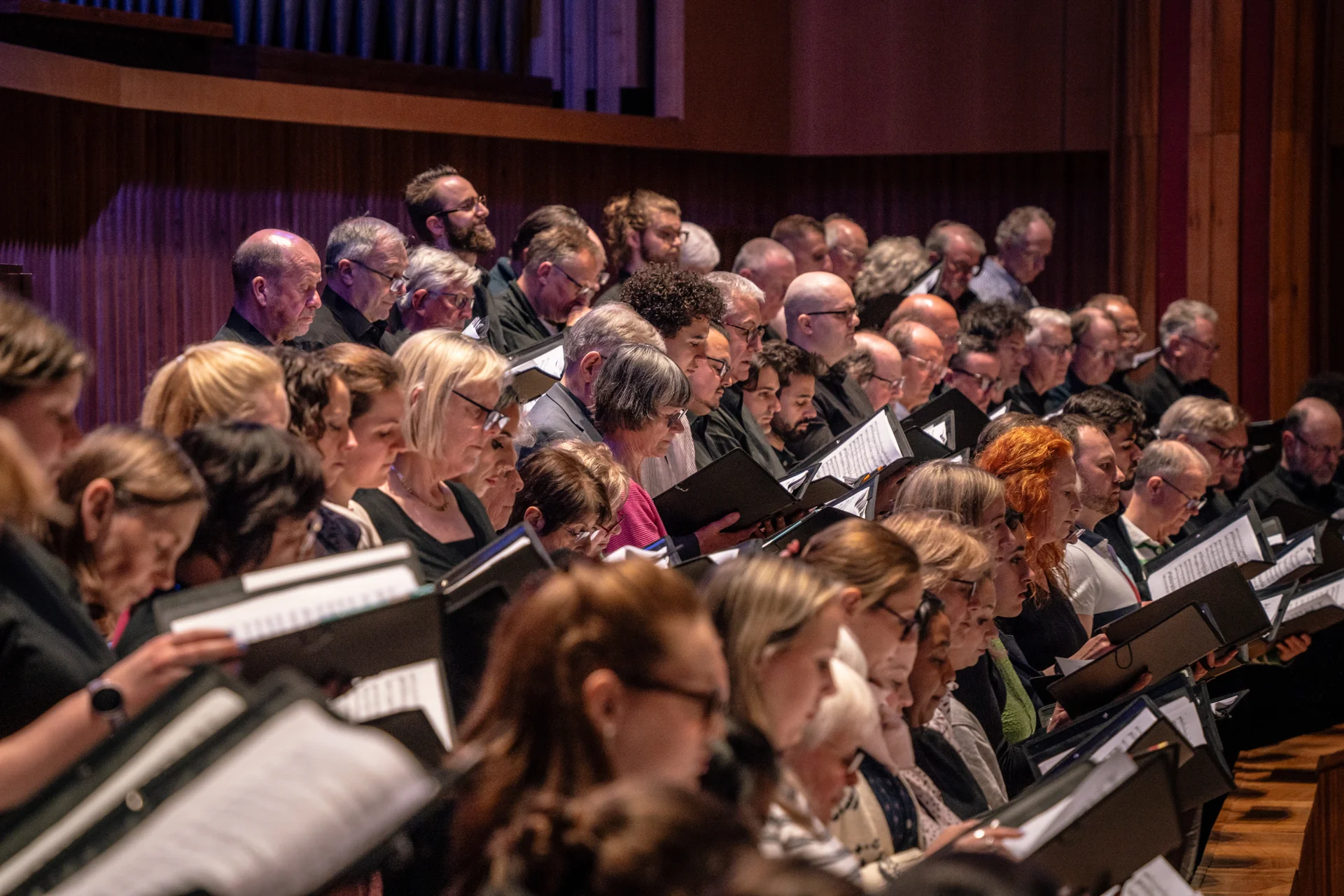The Philharmonia Chorus in the choir stalls in rehearsal