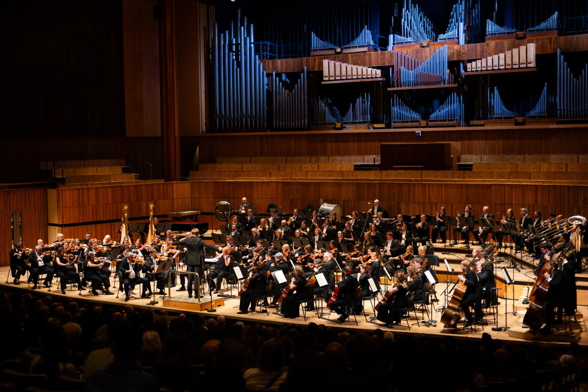 A wide shot of the Orchestra performing on stage, with the Royal Festival Hall organ behind them