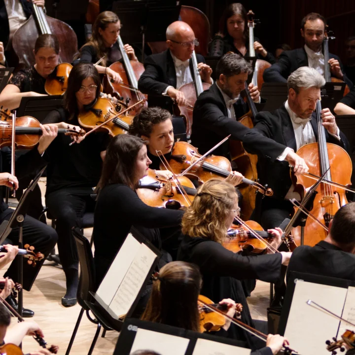 RPO strings performing at the Royal Festival Hall