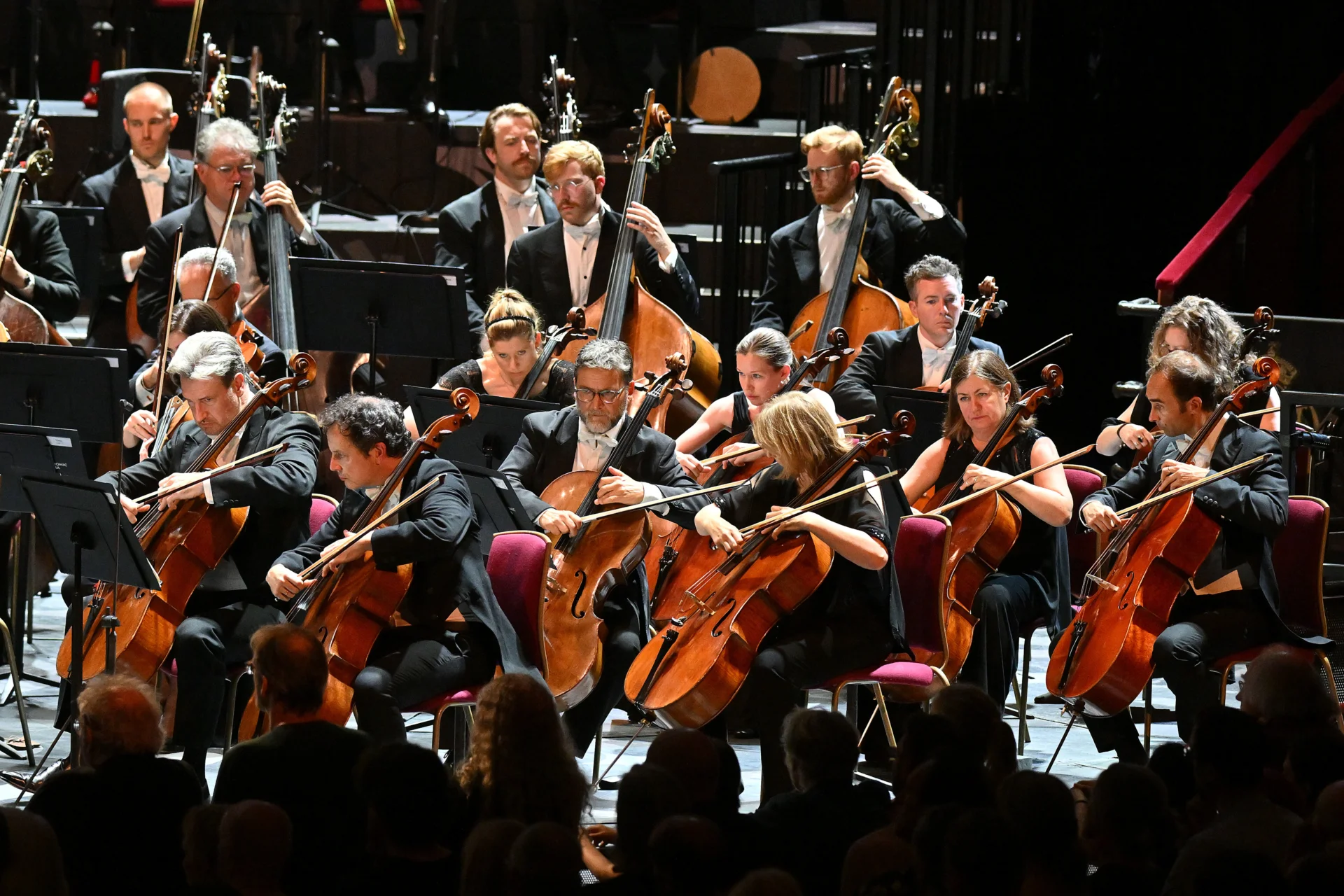 The RPO cello and double bass sections performing on stage