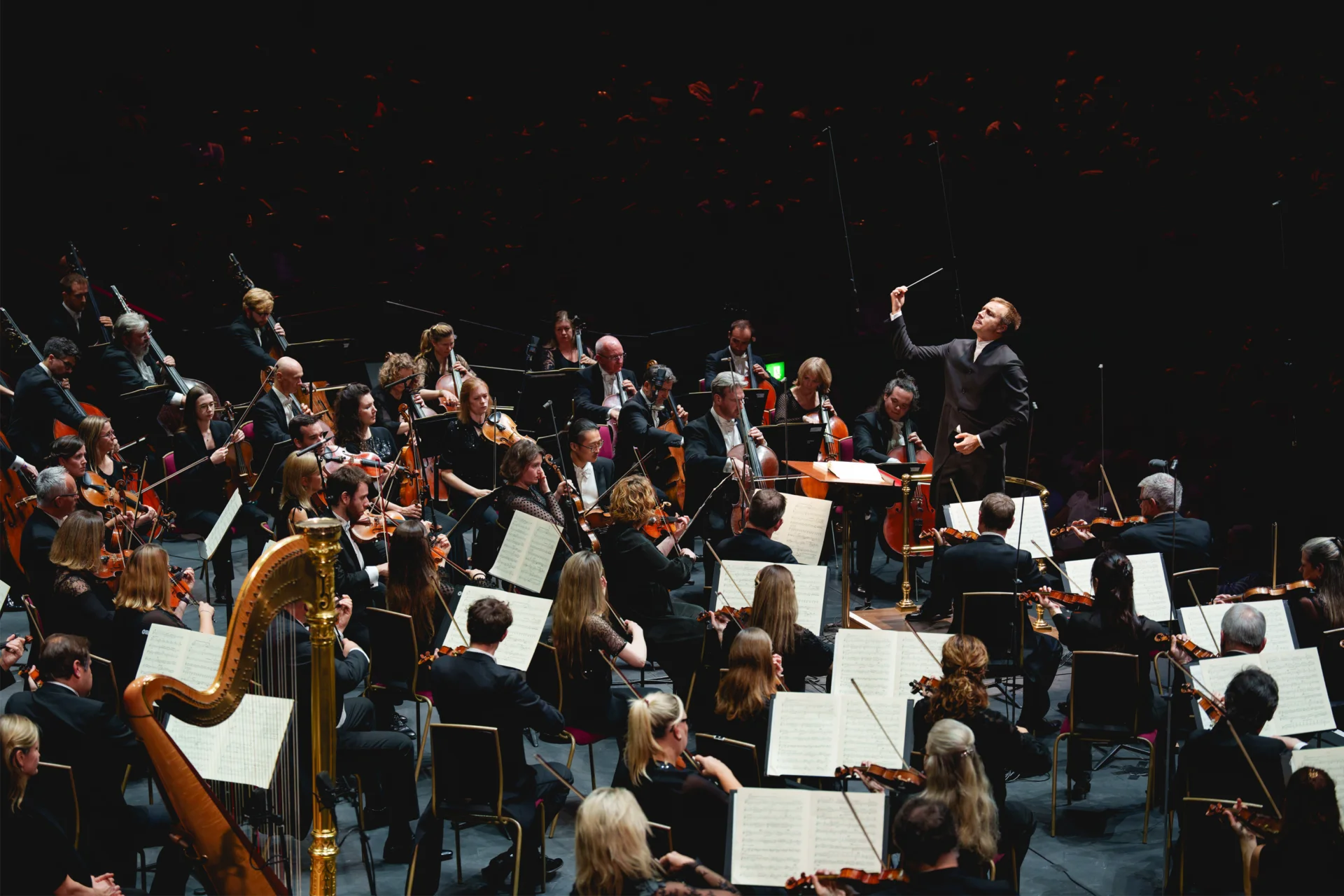 Vasily Petrenko conducting the Orchestra at the Royal Albert Hall