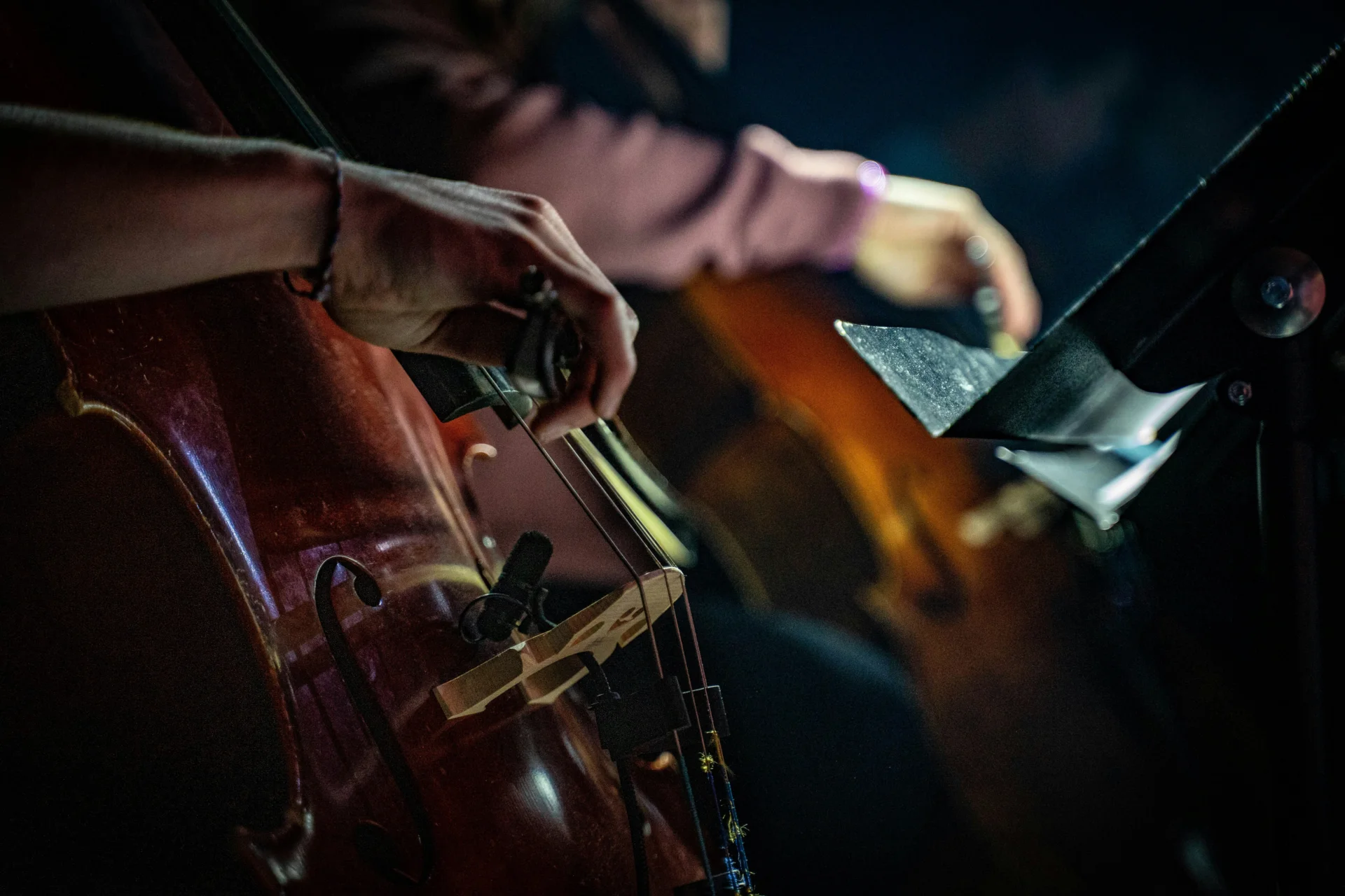 Close-up of a bass being played