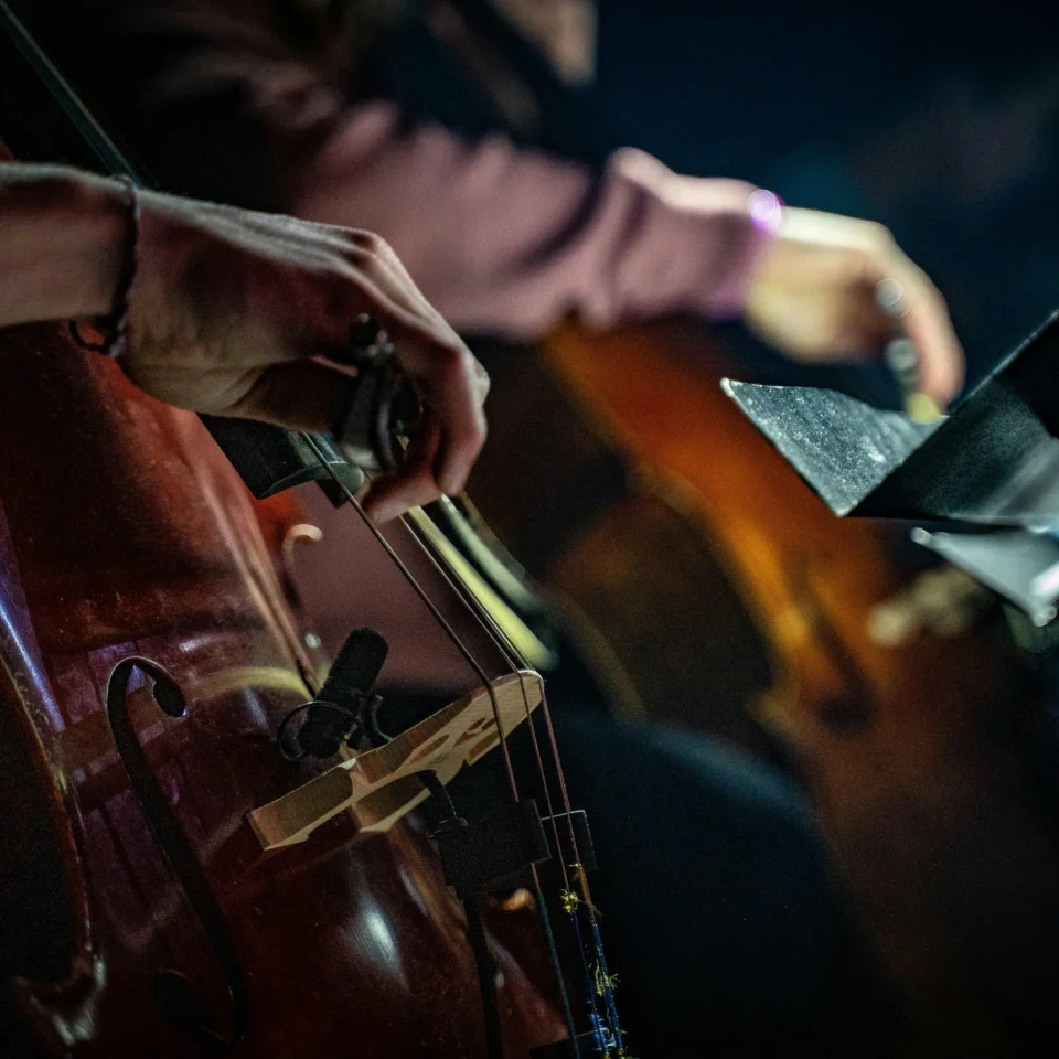 Close-up of a bass being played