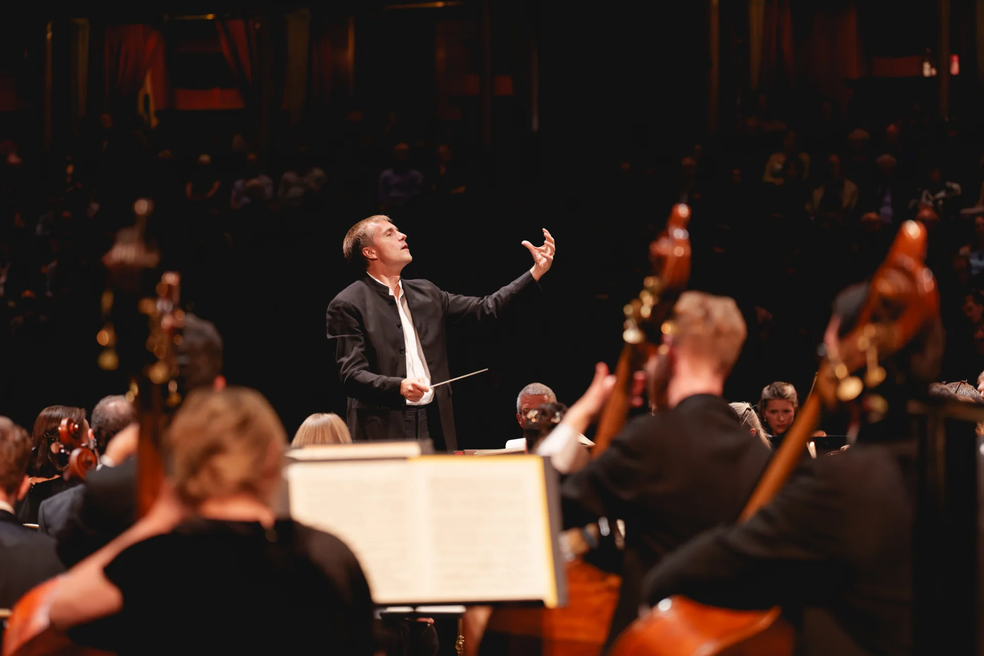 Vasily Petrenko conducting the RPO, taken from behind the double basses