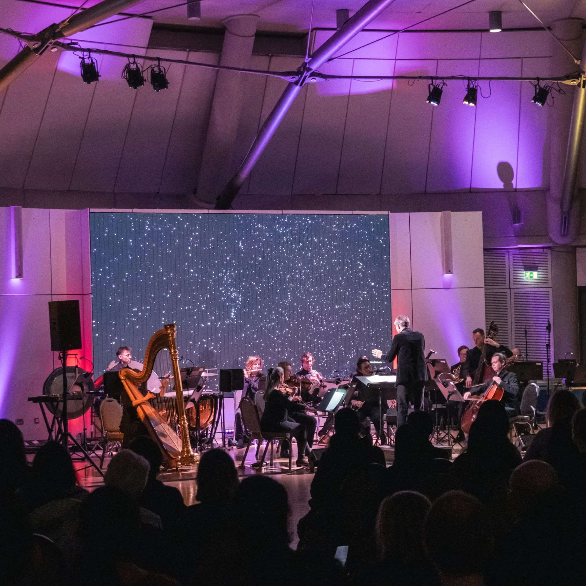 The Orchestra and dancers of the Sujata Banerjee Dance Company perform the goddess of swan lake at the Drum in Brent Civic Centre