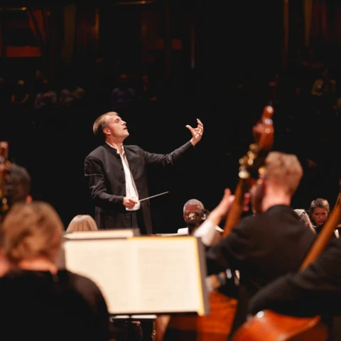 Vasily Petrenko conducting the RPO, taken from behind the double basses