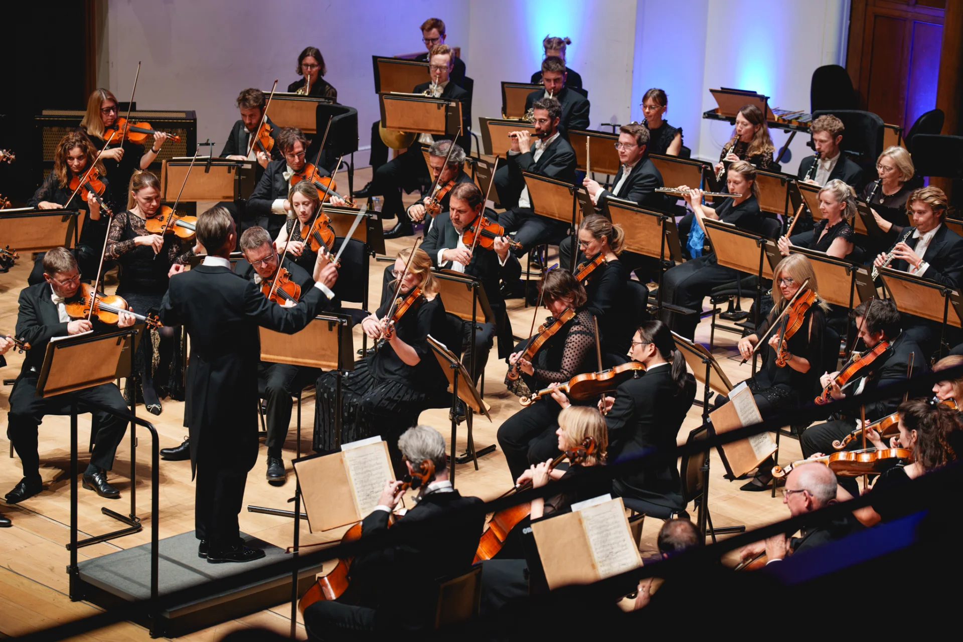 A conductor stands with his arms raised in front of the string section of the Royal Philharmonic Orchestra, performing at Cadogan Hall