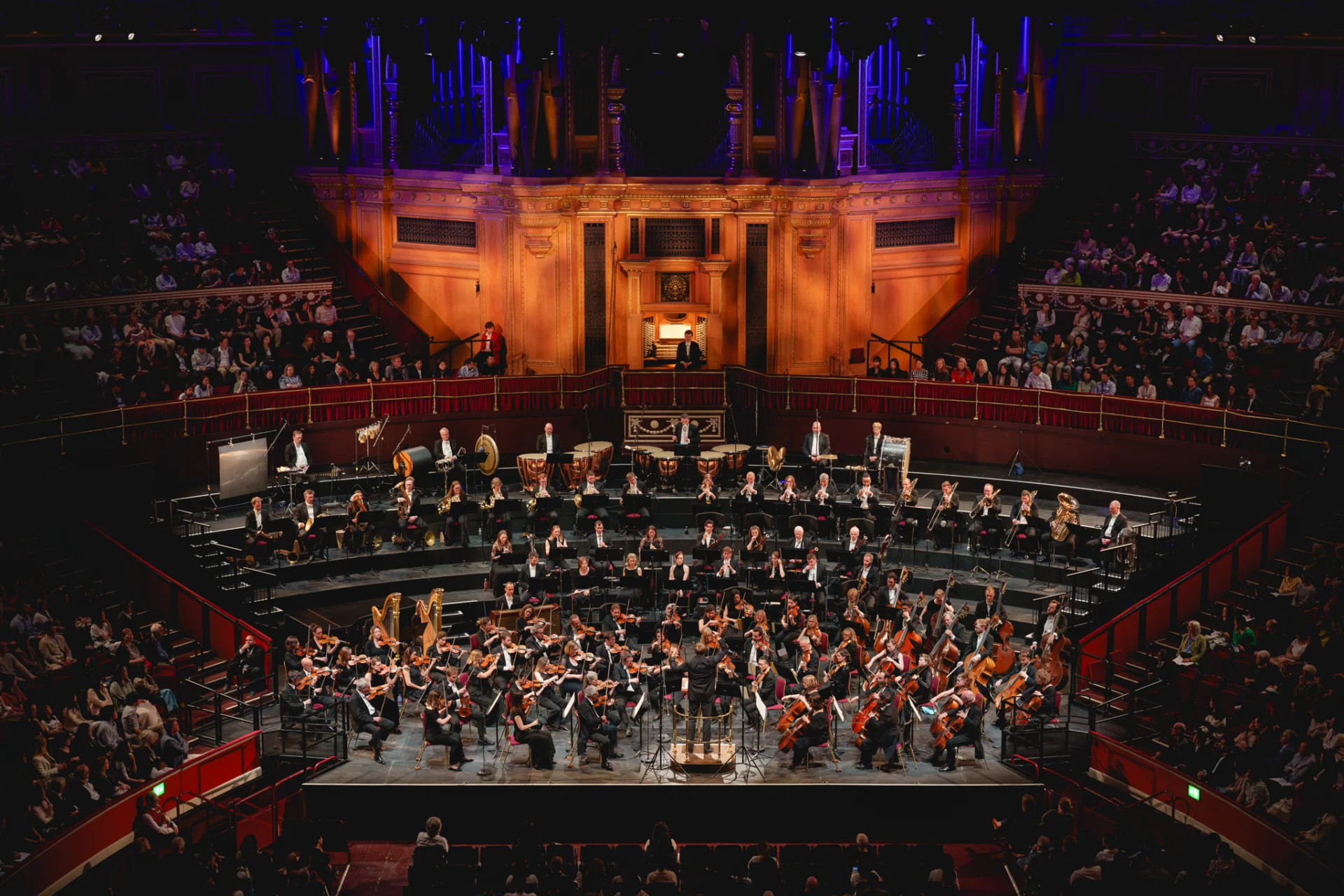 The Royal Philharmonic Orchestra performing on stage at the Royal Albert Hall