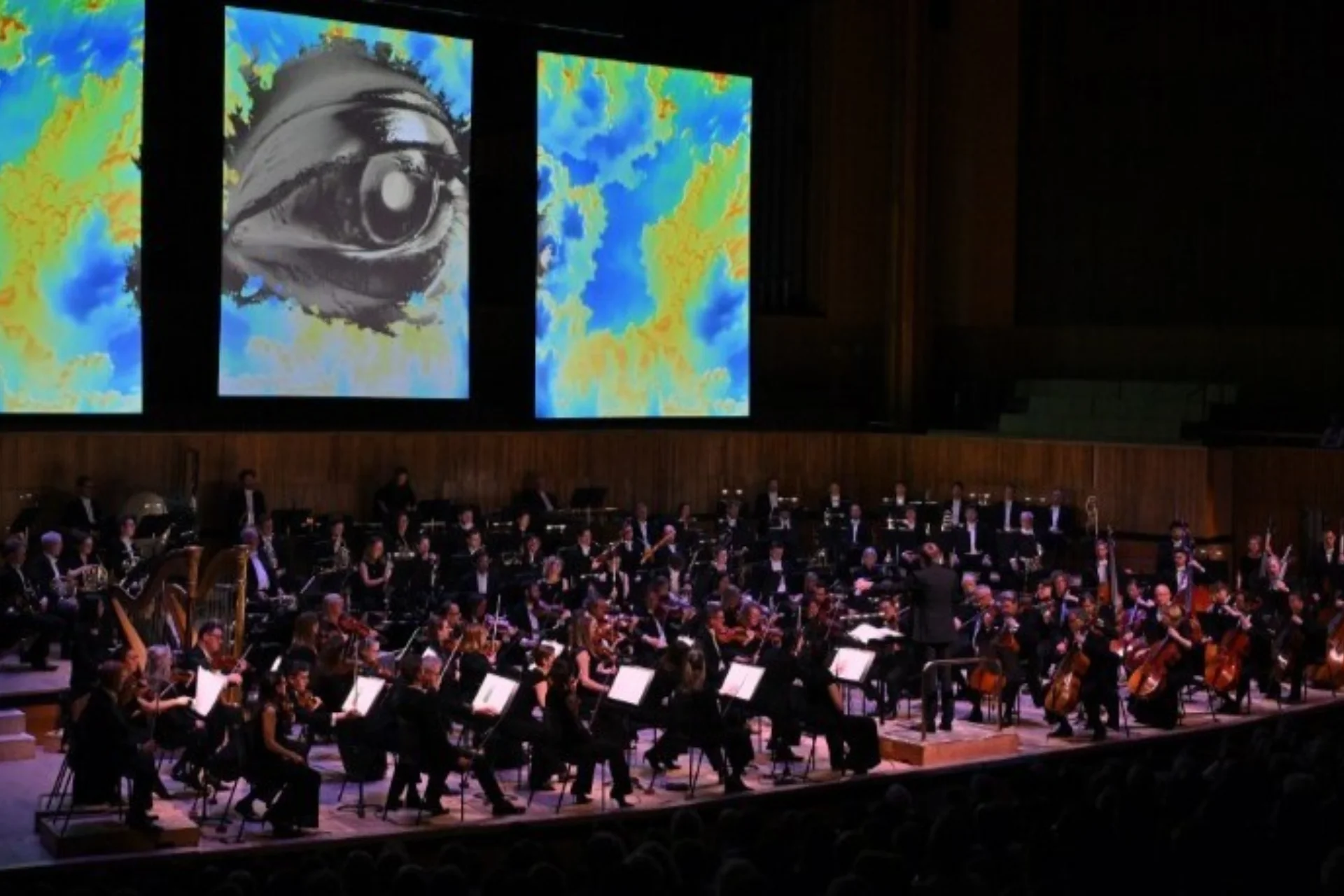 The Orchestra on stage at the Royal Festival Hall