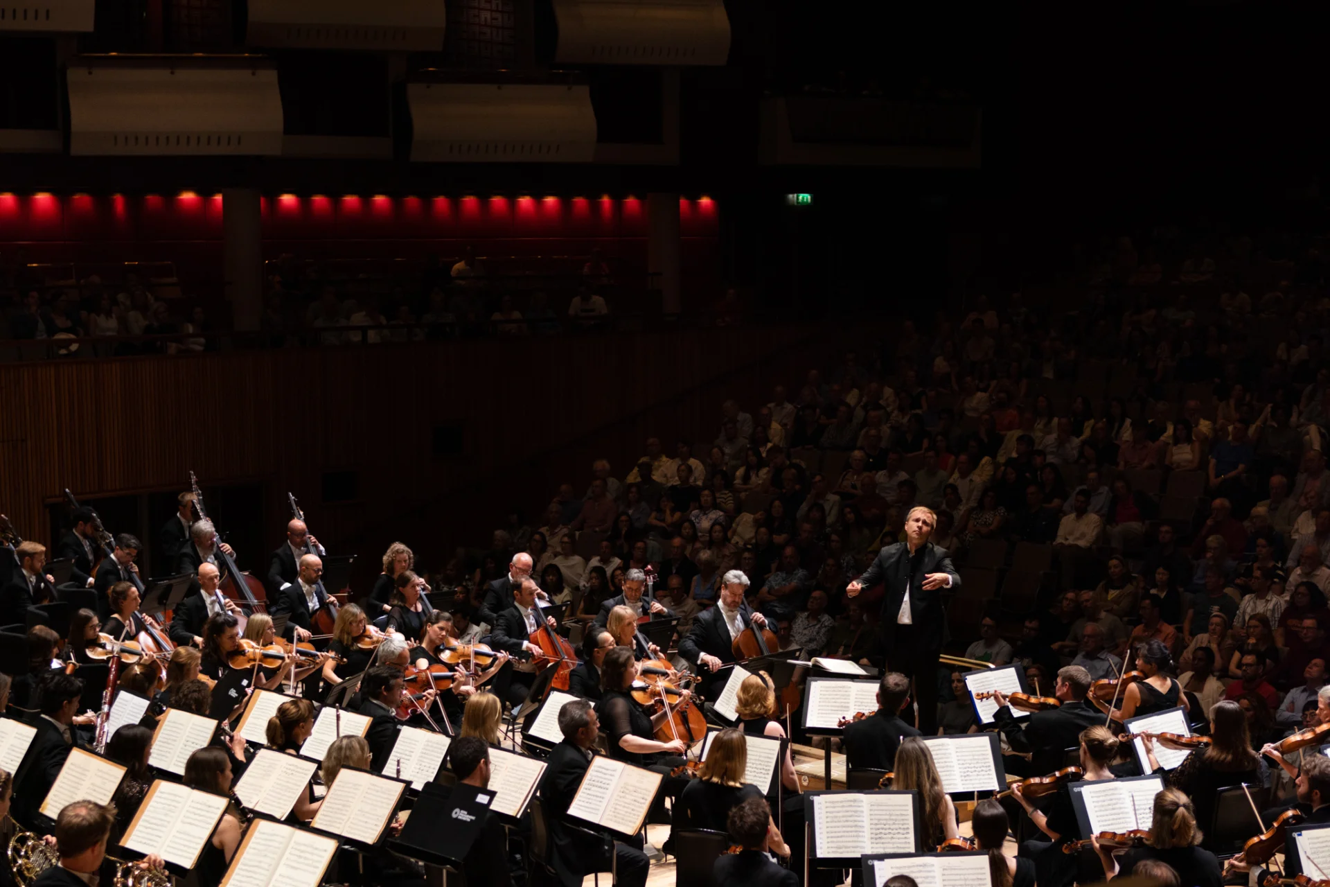 View from upstage of the Royal Philharmonic Orchestra performing at the Royal Festival Hall. In the centre, the conductor raises his hands, and behind them, a full audience.
