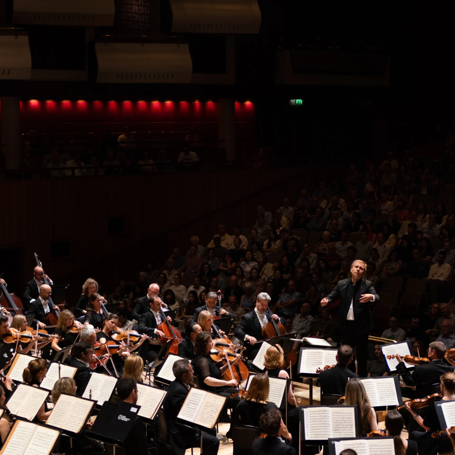 View from upstage of the Royal Philharmonic Orchestra performing at the Royal Festival Hall. In the centre, the conductor raises his hands, and behind them, a full audience.