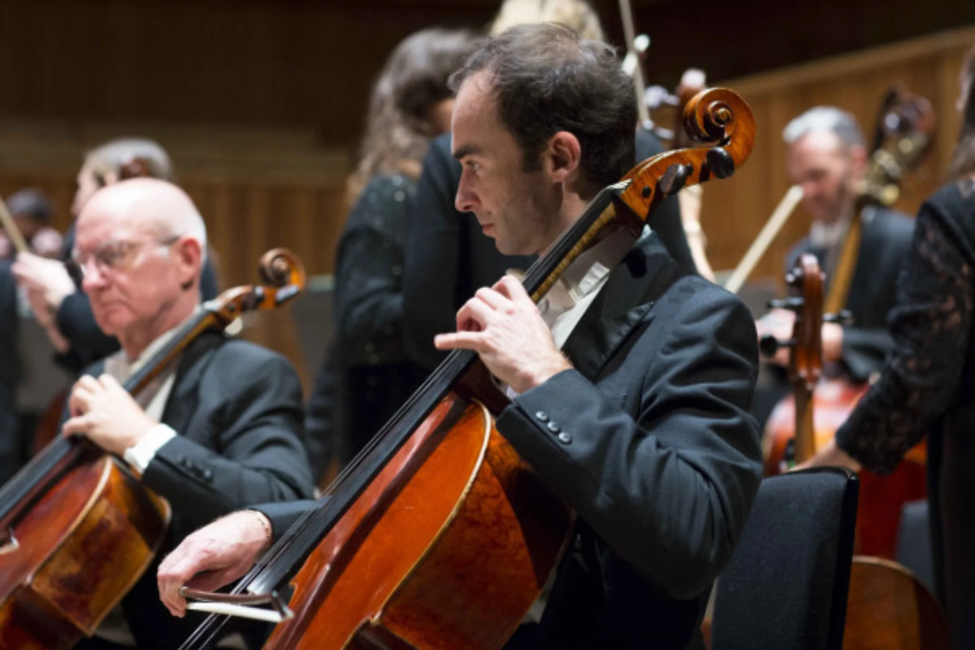 Orchestra player with cello